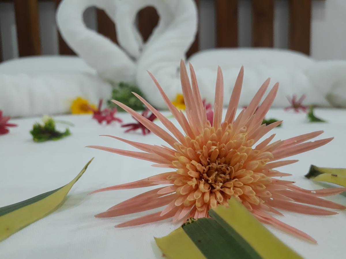 Akila Holiday Resort Habarana Kültér fotó