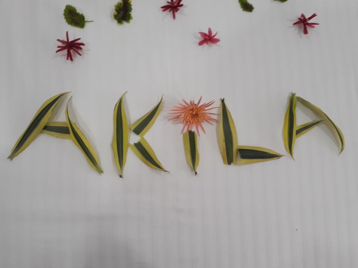 Akila Holiday Resort Habarana Kültér fotó