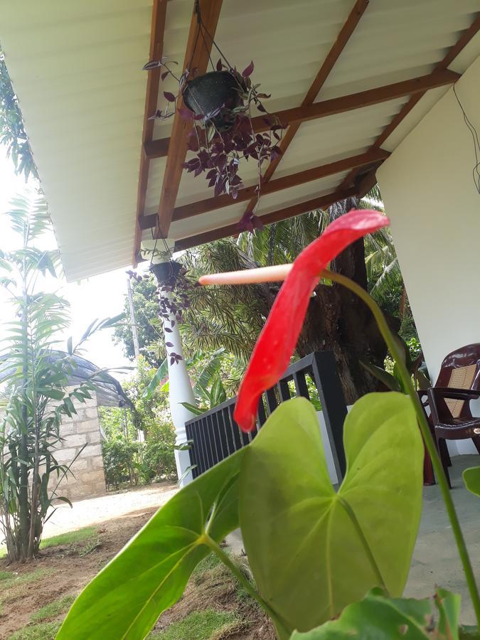 Akila Holiday Resort Habarana Kültér fotó